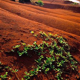 格斗大赛EVO官方公布厂商新进展 多款格斗大作将公布新情报